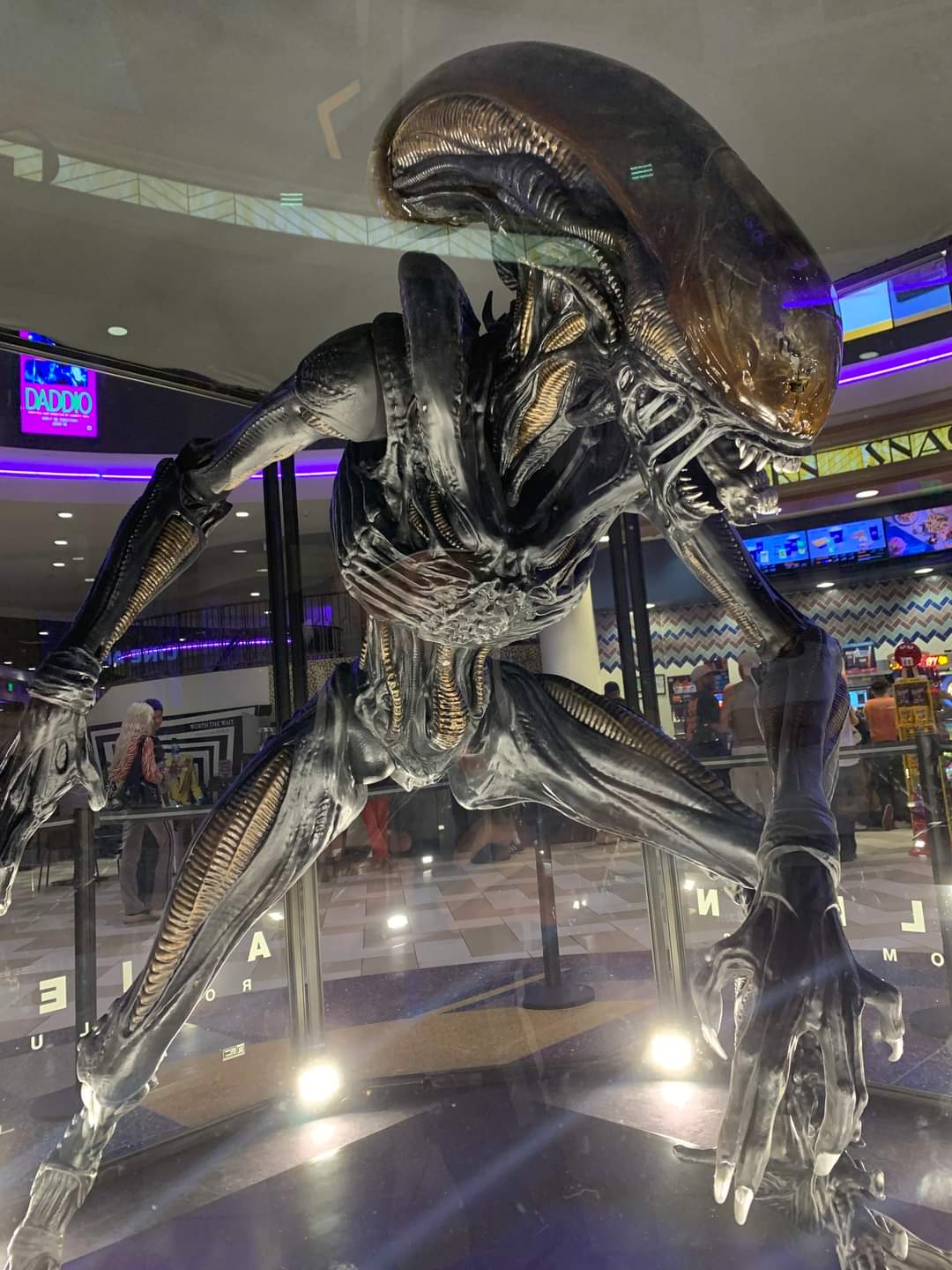 Alien: Romulus Xenomorph Display