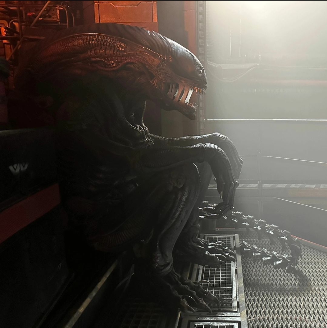 Alien: Romulus Xenomorph Suit