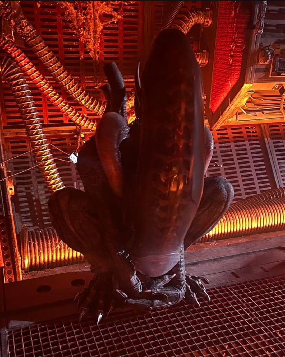 Alien: Romulus Xenomorph suit BTS
