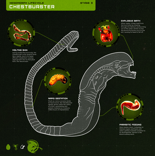 Chestburster (Alien: Covenant Fan Art Image Gallery)