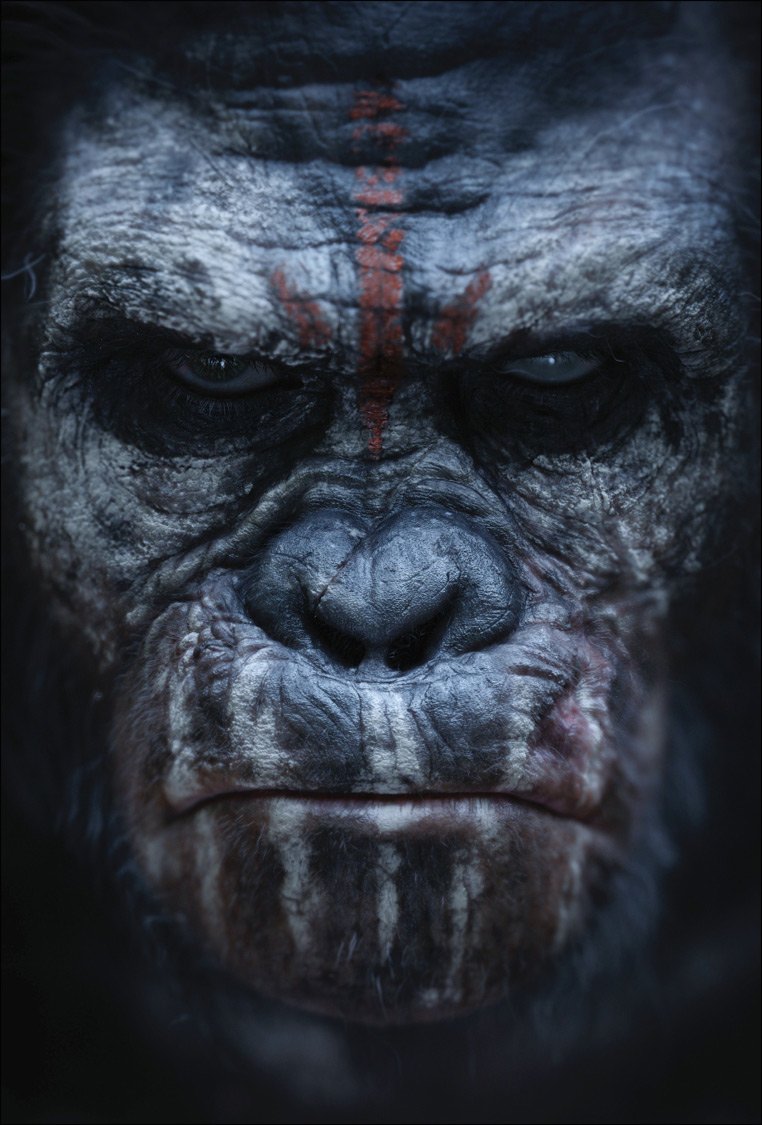 Dawn - Apes Tribal Posters