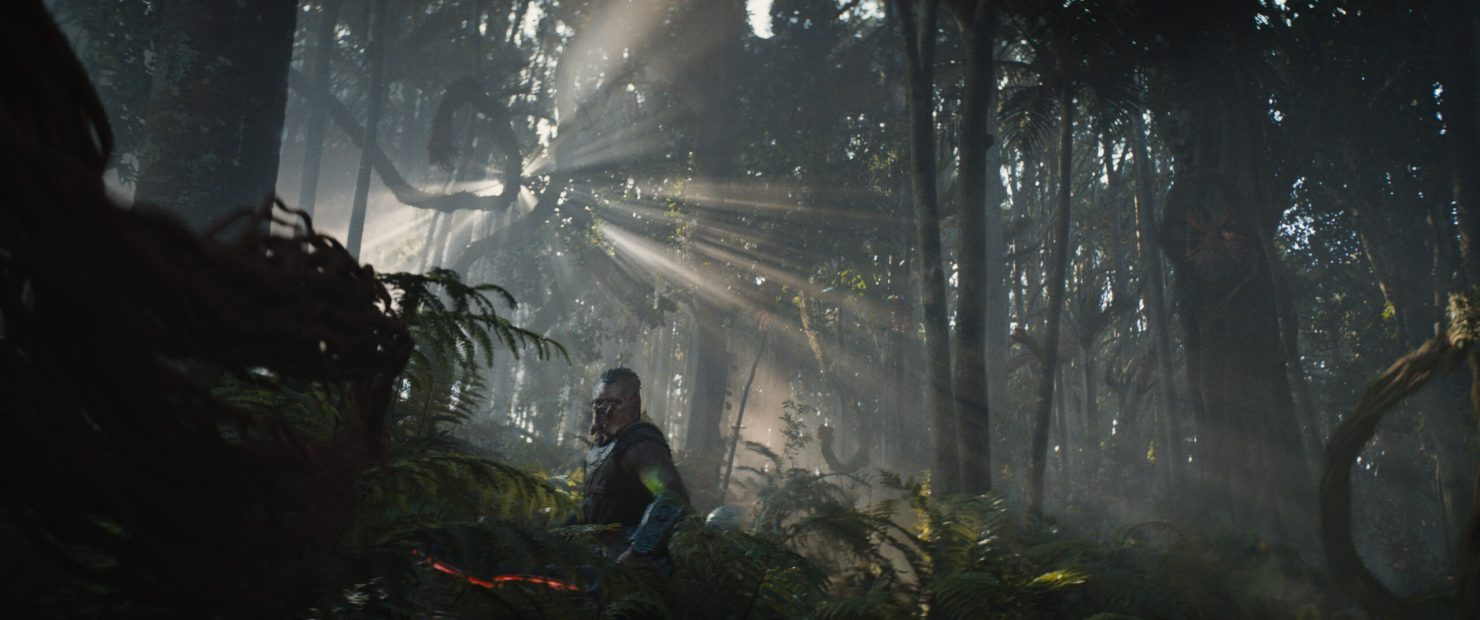 Predator: Badlands images