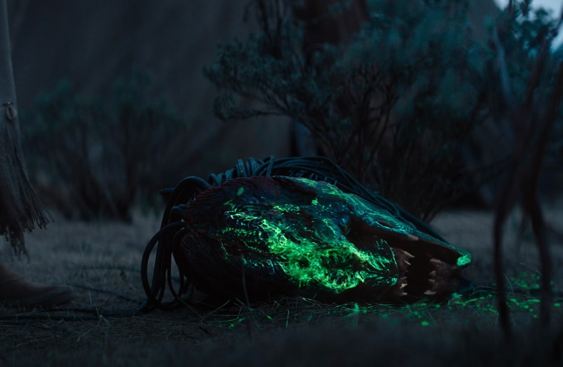 Feral Predator death