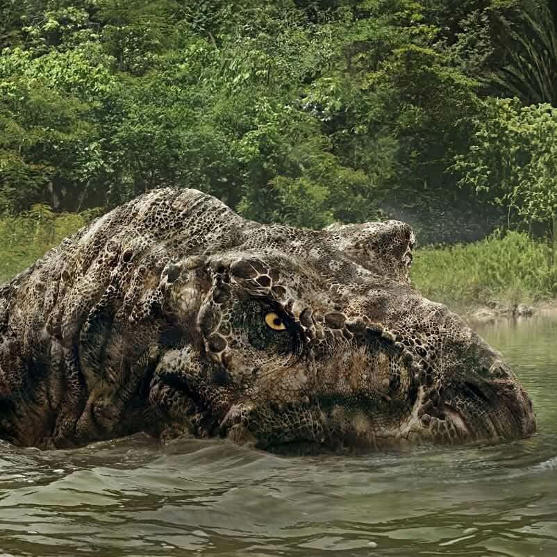 Jurassic World Rebirth T-Rex close-up