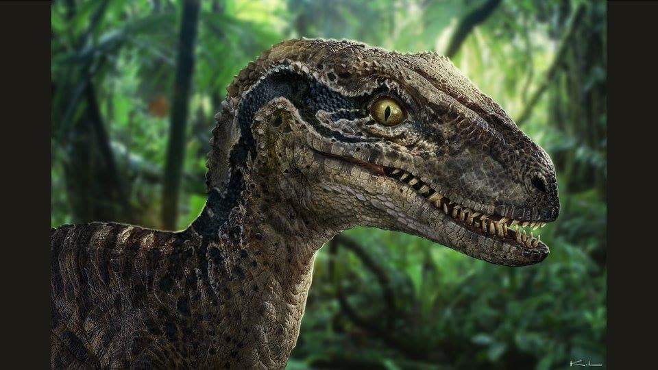 Jurassic World Blue Velociraptor Concept Art