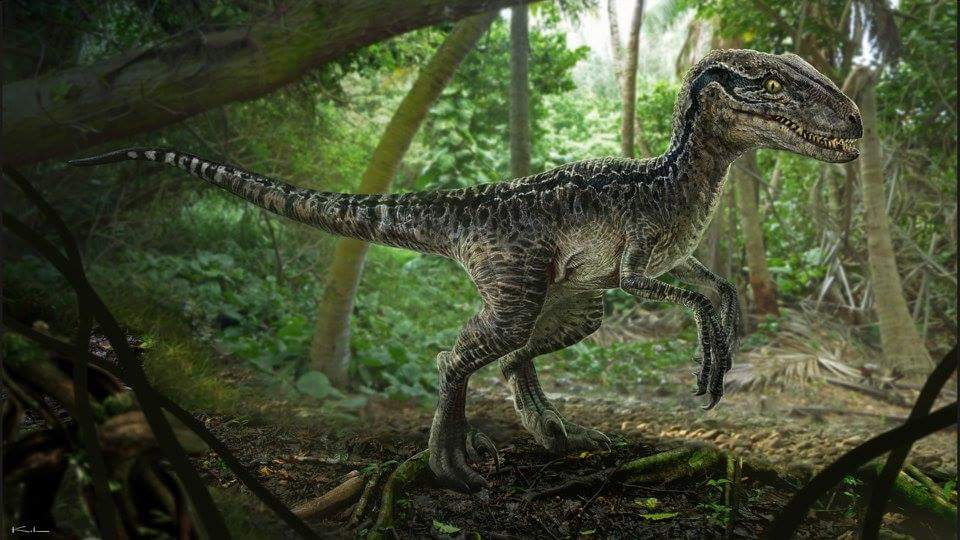 Jurassic World Velociraptor Concept Art