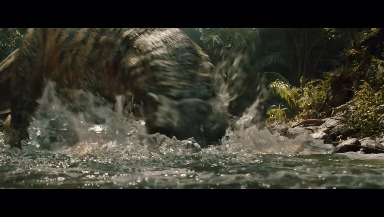 JW Rebirth Don't Move TV Spot