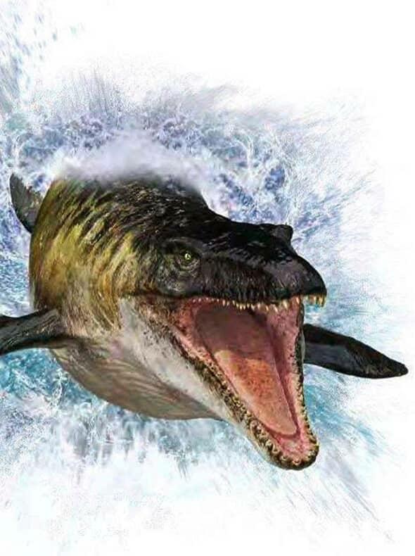 Mosasaurus render