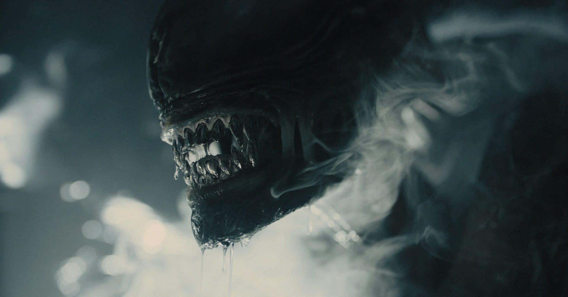 new-alien--romulus-xenomorph-still-20411.jpeg