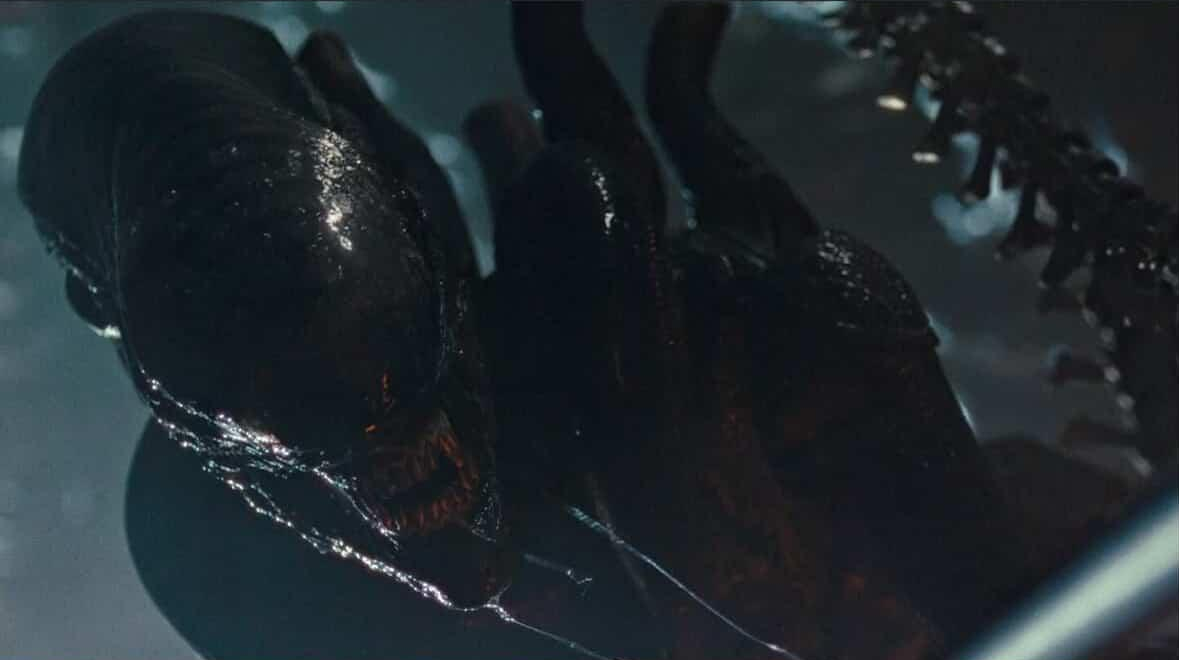 Romulus Station Xenomorph