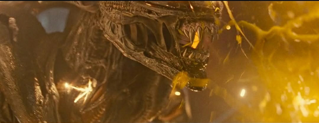 Scorched Xenomorph close-up