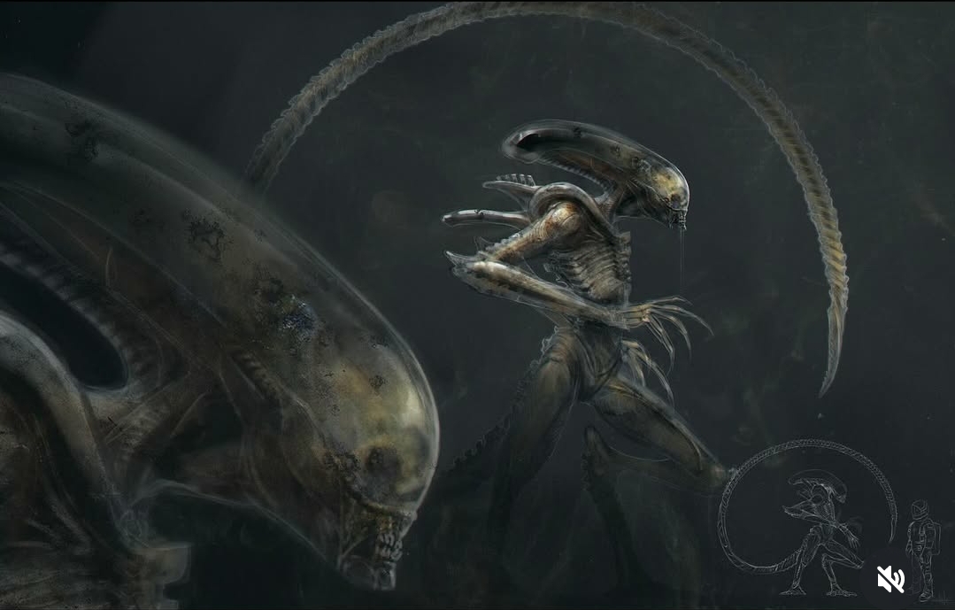 Textural exploration of the Xenomorph