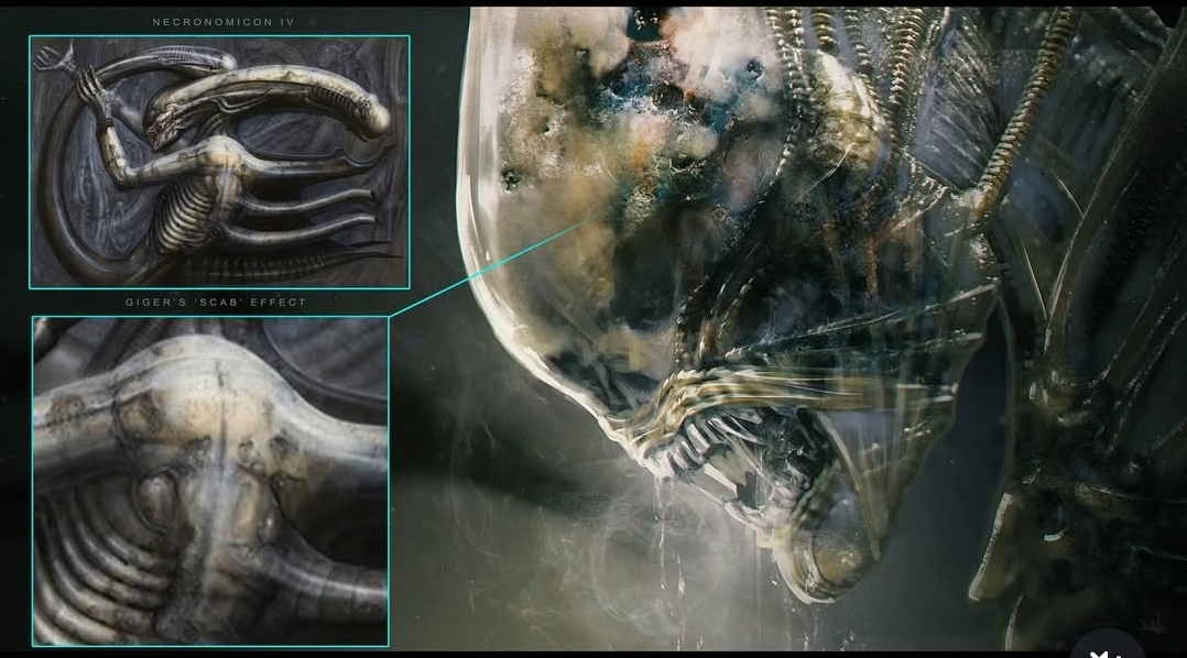 Textural exploration of the Xenomorph