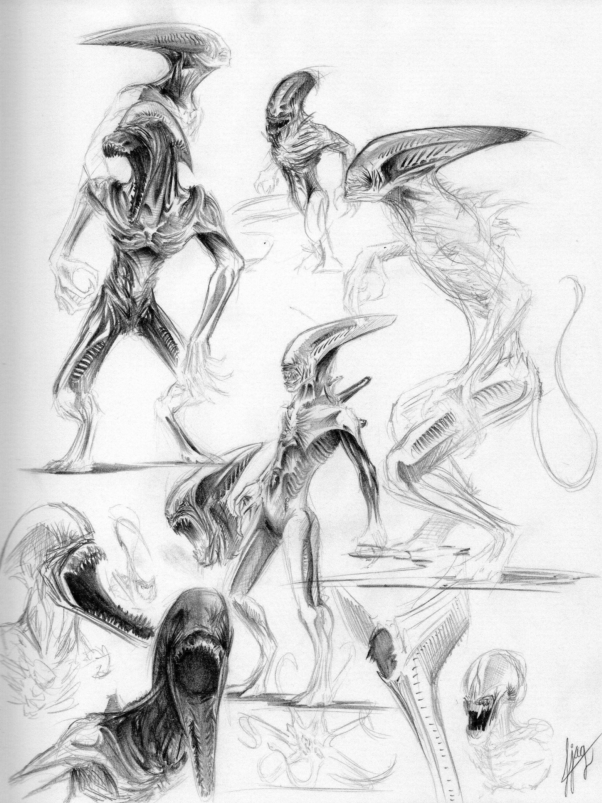 Fan Sketch of the different Deacon Alien profiles