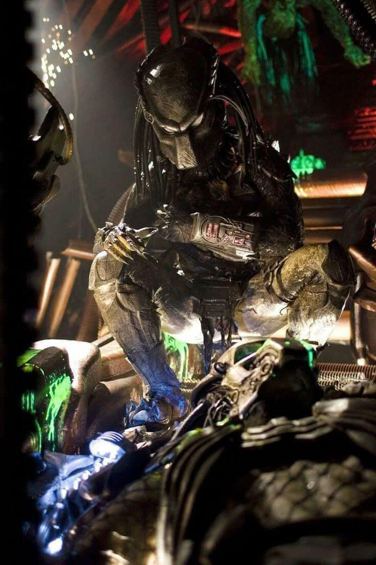 Wolf Predator investigates Predalien attack