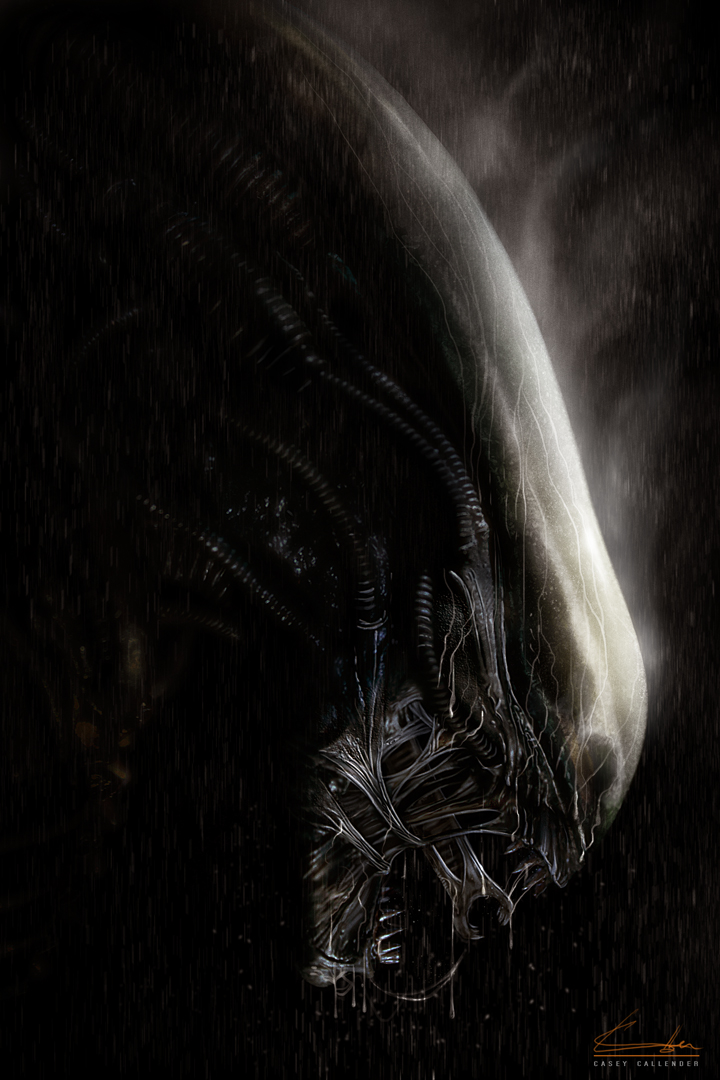 Alien Xenomorph Wallpaper