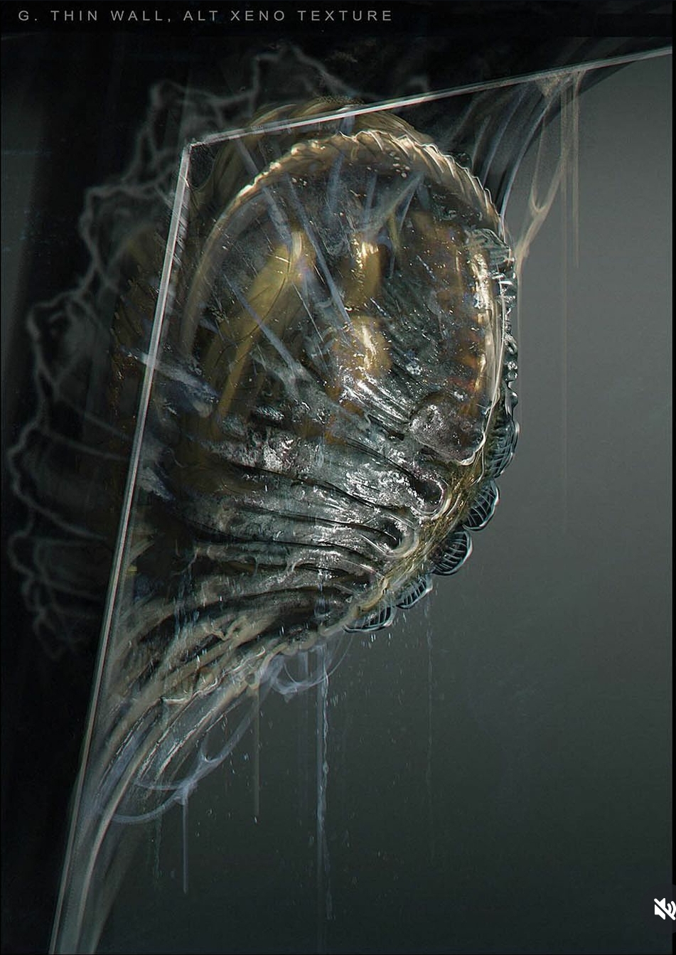 Xenomorph Cocoon concepts by Dane Hallett