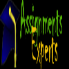Assignments Experts
