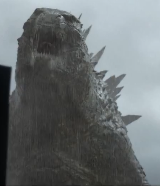 AmeriGoji Profile