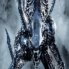 rea lxenomorph151