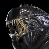 Alien Game News