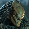 Predator Merchandise News