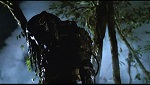 Fox to Reboot Predator!