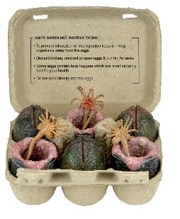 New Details For NECA's Alien Eggs Carton 