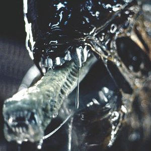 Alien 5 is NOT being held back by Ridley Scott's Prometheus 2