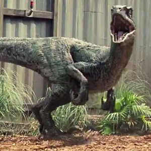 Universal Likely Gearing Up For A Sequel Following Jurassic World's Record-Breaking Box Office Numbers!