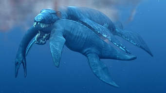 The uncooked shrimps when the titanic went down Vs. Pliosaurus (Predator x)  (EAB Bonus Battle) - Dinosaurs Forum