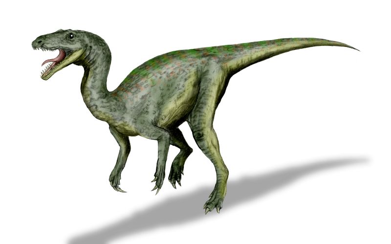 Top 10 Favorite basal dinosaur