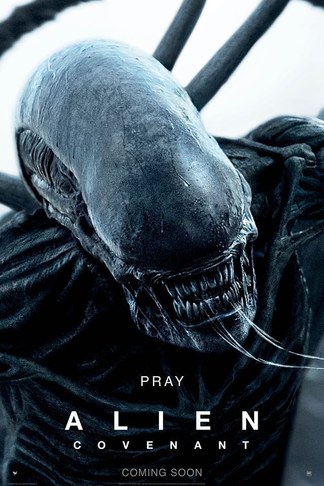 Looking For Protomorph Hd Wallpaper Alien Covenant Forum