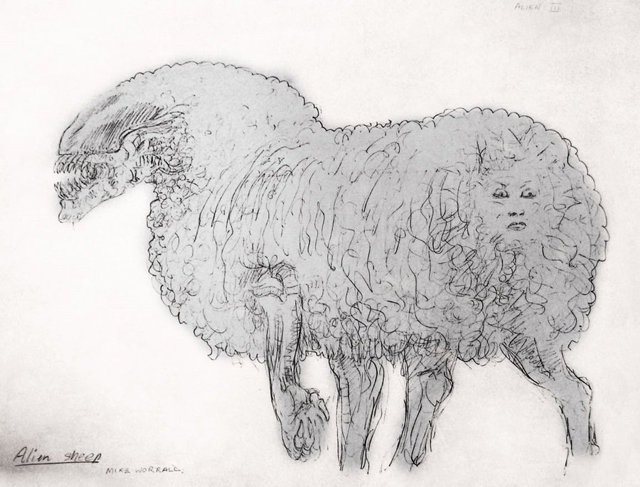 The T Ocellus and Vincent Ward's sheep xeno