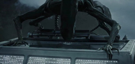 The Protomorph looks