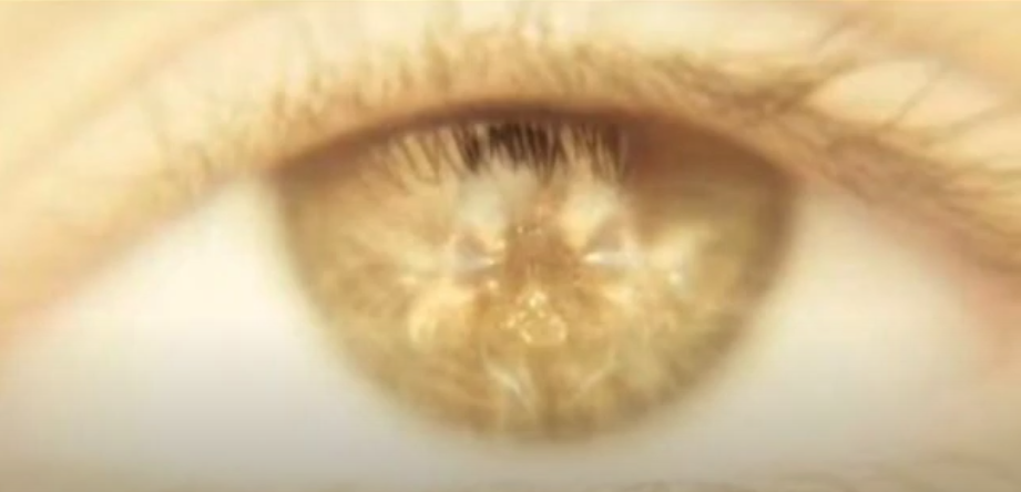 MOTHRA IS CONFIRMED + SHIMO FULL MOVIE DESIGN (kinda)