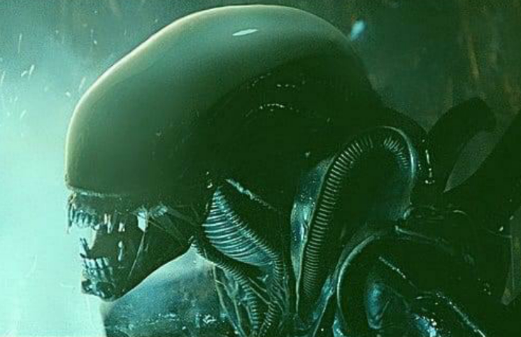 Xenomorph Warrior Aliens photosbopped to have smooth domes! Better or no?