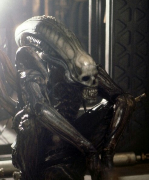 Translucent BigChap Director's Cut ALIEN Blu Ray Coming for Next Year's LV426Day!?