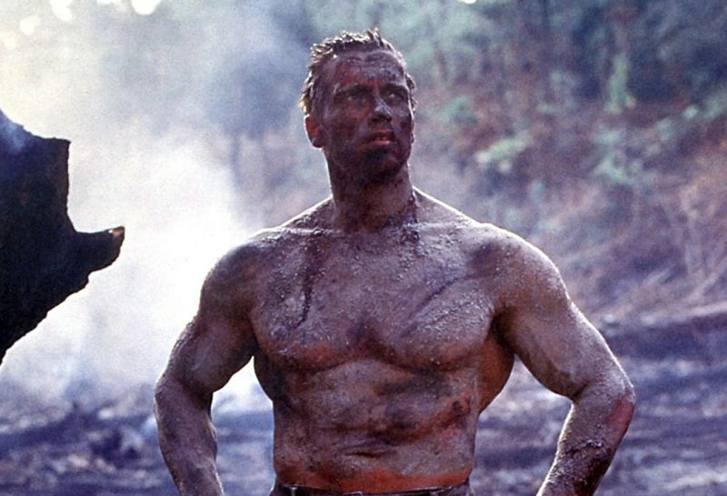 Will Arnold Schwarzenegger be in a Prey sequel? Trachtenberg doesn't say no...