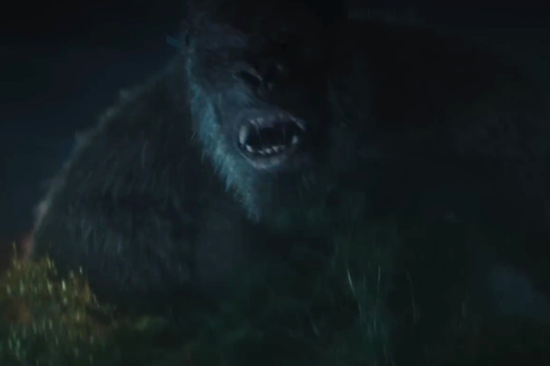 What do fans think of the first Legacy of Monsters Season 2 trailer?