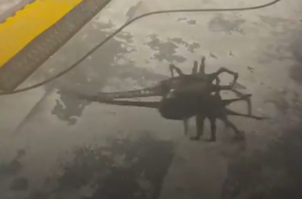 Fede Alvarez shares bts footage of RC Facehugger on the set of Alien: Romulus