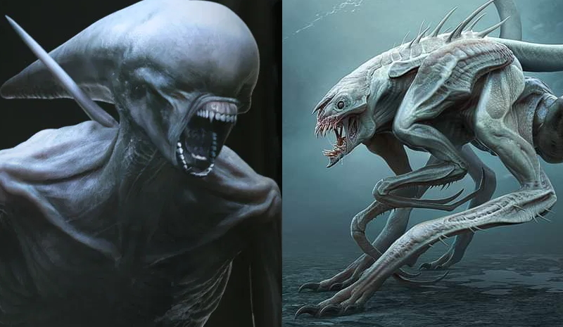 Neomorph name - Alien: Covenant Forum