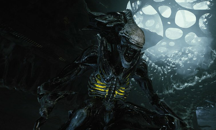 Predators vs. Alien Queens: Fights And Live Captures