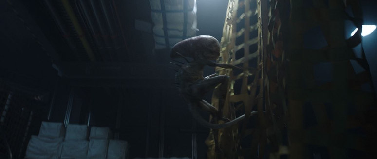 VFX Supervisor Charley Henley Unleashes a New Wave of Xenomorphs in ...