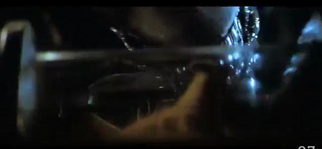 So the Alien seems OK with animals