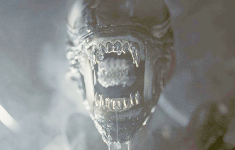 Did you notice the Battle Damaged Xenomorph? 