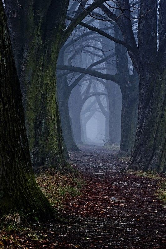 Lost in The End Part 5: Confrontation with the Unstoppable Lord