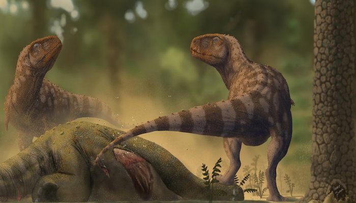 Carnotaurus VS Chenanisaurus