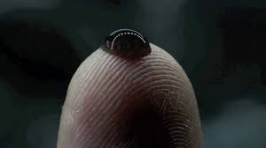 Black Goo:  Effects on Xenos?