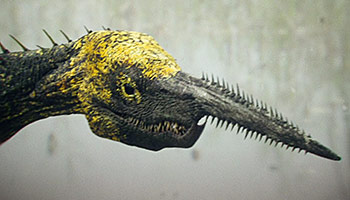 The *Official* and Updated Monsterverse Titan List.